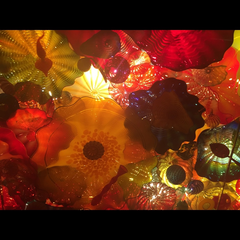 Meet your Posher, Rita